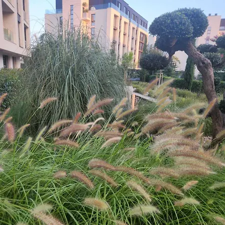 Lili's Azur * Варна